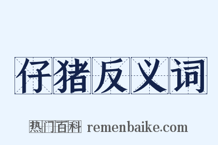 仔猪反义词是什么意思的图片